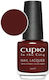 Cupio Lac De Unghii Luciu Uscare Rapidă Hollywood 15ml