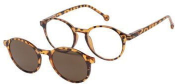 Apel Clip On Γυαλιά Πρεσβυωπίας +4.00 με Μαγνήτη σε Καφέ χρώμα