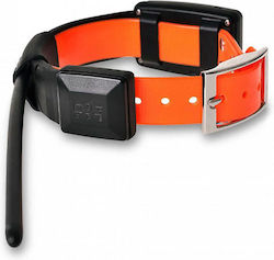 Dog Trace Dog GPS Shock Collar