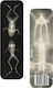 Разделител за книги Brainfood Xray Tadpoles