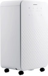Berdsen BD-524 12lt/ημέρα