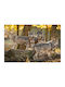 Autocolant Decorativ Radiator 1buc 60x100buc Decowalls