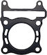 Honda Φλάντζα Zylinderkopf Μοτοσυκλέτας 391-12-477