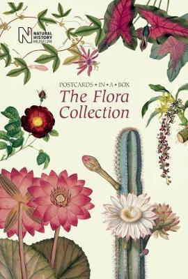 The Flora Collection Postcards In A Box The Flora Collection Postcards In A Box