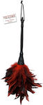 Pipedream Feather for Tickling in Red Color