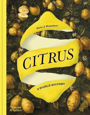 Citrus A World David J Mabberley 1017