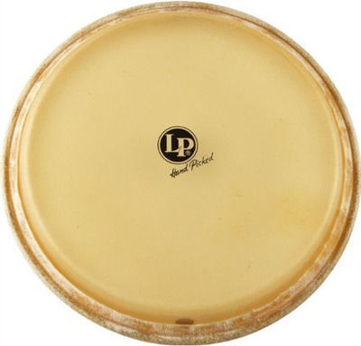 Latin Percussion Conga Head Дърмо за Барабани 11.75"