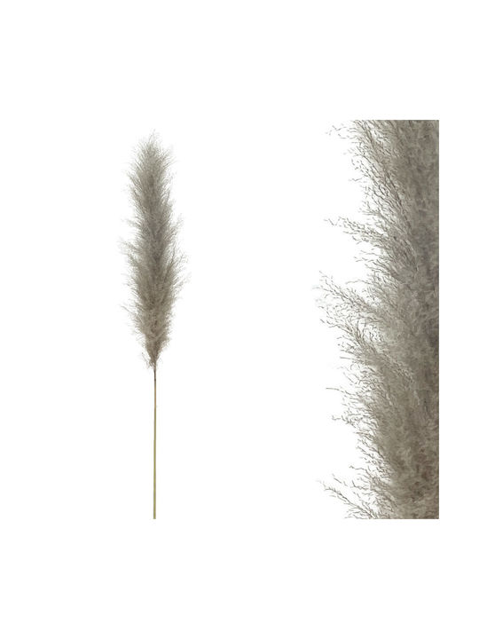 Plantă Uscată Pampas Grass Natural Gray Marhome