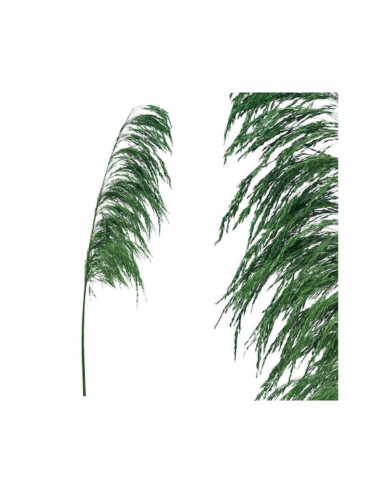 Plantă Uscată Pampas Grass Green Marhome