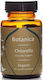 Botanica Bohemia Organic Chlorella 3gr 90 ταμπλέτες