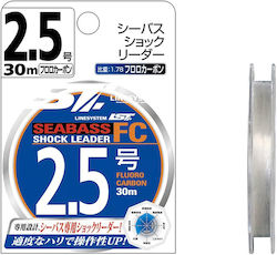 Linesystem Fishing Line 30m / 0.37mm