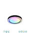 Trio Lighting Arco Ceiling Mount Light Black with Integrated LED and Remote Control