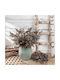 Ramură Decorativă Artificială Eucaliptus Brown 38cm