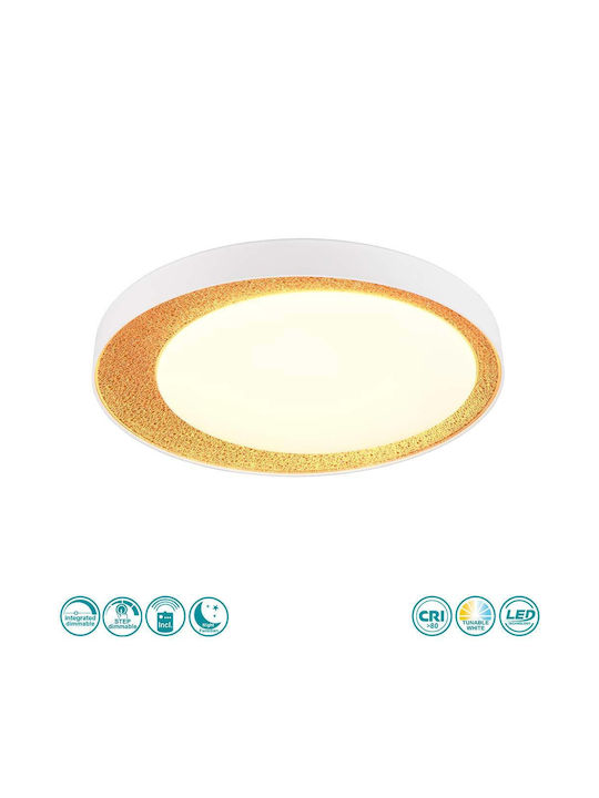 Trio Lighting Ceiling Mount Light White with In...