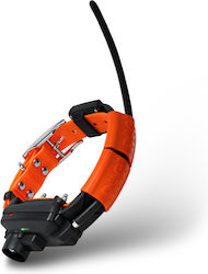 Dog Trace Electric GPS and Training Collar for Dogs