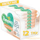Pampers Harmonie Protect & Care Șervețele Umede Hipoalergenice pentru Bebeluși Fără Parfum Alcool și Parabeni 12x44buc