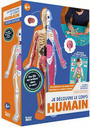 Auzou The Human Body για 6+ Ετών Auzou The Human Body για 6+ Ετών