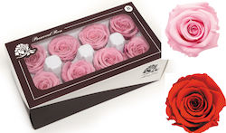Paper Pack Dekorative Blume für DIY-Bastelprojekte Rosa 8Stück