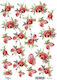 Hârtie de orez Amintirile Majei 21x29.7cm Rodii...