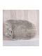 Palatex Madonna Velvet Single Blanket 160x220cm Beige