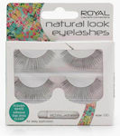 Royal False Lashes Lash Glue in Black color