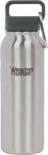 Healthy Human Stein Bottle Thermos Stainless Steel 950ml Stainless steel with Handle and Straw