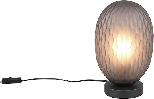Trio Lighting Διακοσμητικό Φωτιστικό E27 17x28εκ.