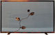 GTMED 80x50cm