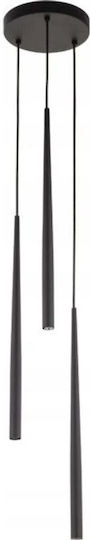 TK Lighting Lustră Negru cu Dulie G9 20x20cm.
