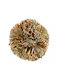 Ferplast Rodent Toy Ball