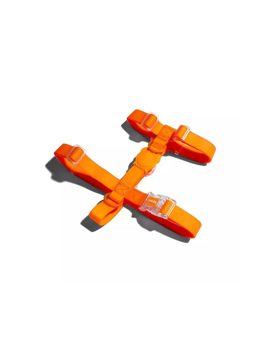 Zee Dog Wasserdichtes H-Geschirr Neopro Orange ...