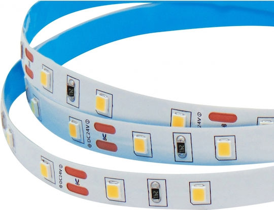 Wellmax LED-Streifen 24V Natürliches Weiß Licht 5m Typ SMD3528