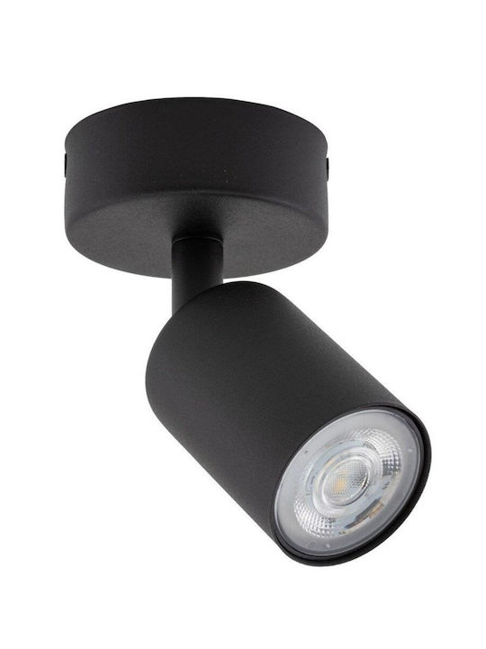 TK Lighting Single Spot with Socket GU10 in Black Color