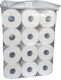 Toilet Paper 12 Rolls