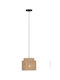 Trio Lighting Pendant Light 31x150cm