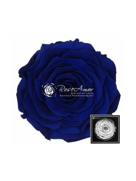 Fankon Flowers Eternal Rose Blue