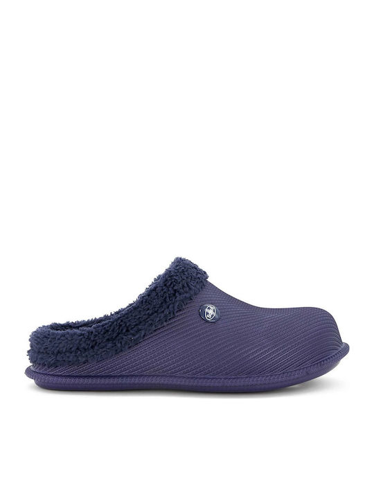 Scholl Scholl