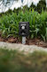 Solar Animal Repeller 5 Functions