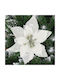 Hängendes Ornament Blume Kunststoff Weiß mit Glitzer 13x13cm Set 10Stück