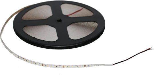 Adeleq Ταινία LED 24V Ψυχρό Λευκό Φως 30m Τύπου SMD2835