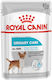 Royal Canin Nassfutter Hunde in Dose 85gr