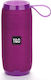 TG-106A Ηχείο Bluetooth 10W με Ραδιόφωνο Μωβ
