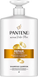 Pantene Repair & Protect