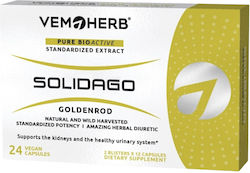 Vemoherb Solidago