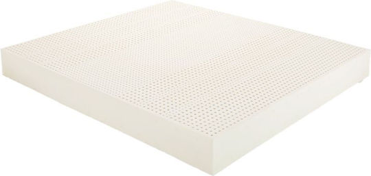 Jgs S.a Latex Sheet 160cm X 200cm X 20cm