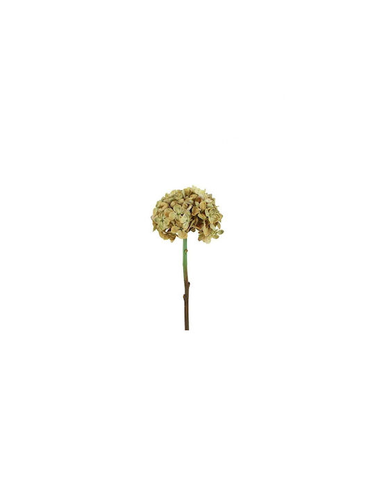 Hydrangea Branch Beige