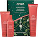 Aveda Damen-Haarpflegeset Nutriplenish Reichhaltige Feuchtigkeitspflege Essentials Geschenkset Intensiv Feuchtigkeitsspendendes Shampoo & Conditioner & tägliche Pflegebehandlung