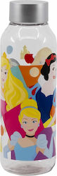 Stor Disney Princess: Ярка Смела Disney Princess 660 мл (Различни Дизайни/Цветове) Stor Disney Princess: Ярка Смела Disney Princess 660 мл (Различни Дизайни/Цветове)