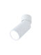 Paulmann 93087 Led Ceiling Light Surface Mount Light Turnal 470lm 3-step-dim Adjustable Round Incl 1x6 Watt Dimmable Ceiling Lamp Matte White Metal 2700 K Coin
