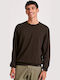 Long Sleeve Brown Sweater